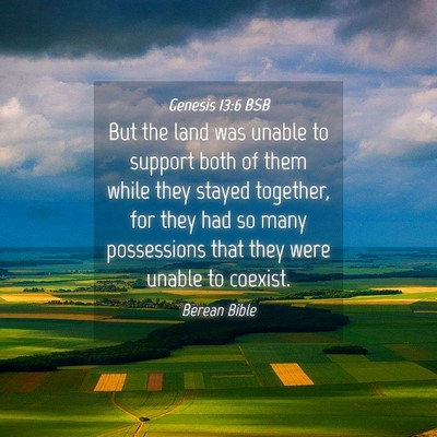 Picture 04 - Genesis 13:6 BSB - But the land was unable to support both of them - Bible Verse Picture