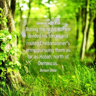 Picture 04 - Genesis 14:15 BSB - During the night, Abram divided his forces and - Bible Verse Picture