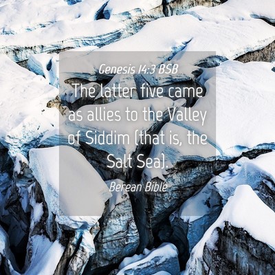 Picture 04 - Genesis 14:3 BSB - The latter five came as allies to the Valley of - Bible Verse Picture
