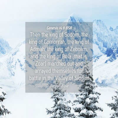 Picture 04 - Genesis 14:8 BSB - Then the king of Sodom, the king of Gomorrah, the - Bible Verse Picture