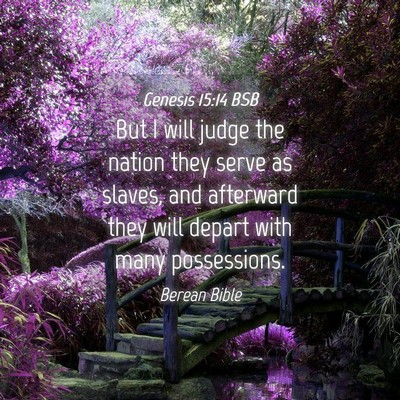 Picture 04 - Genesis 15:14 BSB - But I will judge the nation they serve as slaves, - Bible Verse Picture