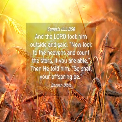 Picture 04 - Genesis 15:5 BSB - And the LORD took him outside and said, “Now - Bible Verse Picture
