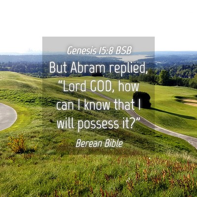 Picture 04 - Genesis 15:8 BSB - But Abram replied, “Lord GOD, how can I know - Bible Verse Picture