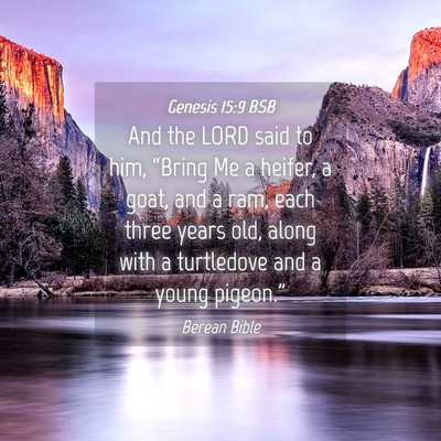 Picture 04 - Genesis 15:9 BSB - And the LORD said to him, “Bring Me a heifer, a - Bible Verse Picture