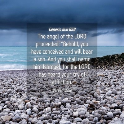 Picture 04 - Genesis 16:11 BSB - The angel of the LORD proceeded: “Behold, you - Bible Verse Picture