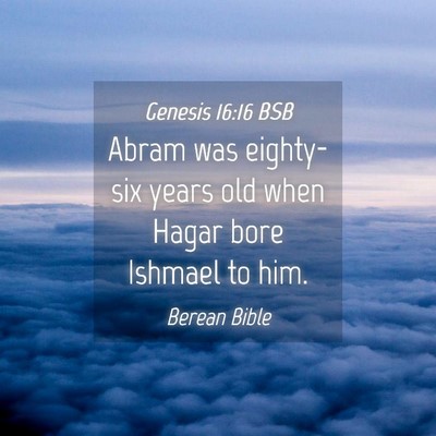 Picture 04 - Genesis 16:16 BSB - Abram was eighty-six years old when Hagar bore - Bible Verse Picture