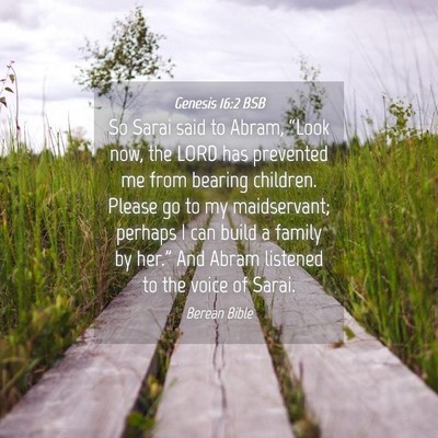 Picture 04 - Genesis 16:2 BSB - So Sarai said to Abram, “Look now, the LORD has - Bible Verse Picture