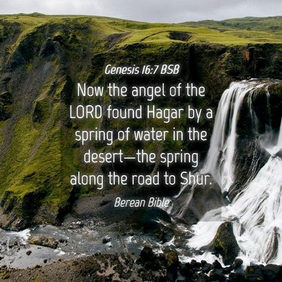 Picture 04 - Genesis 16:7 BSB - Now the angel of the LORD found Hagar by a spring - Bible Verse Picture