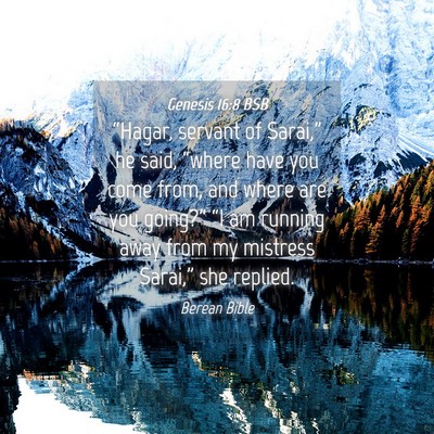 Picture 04 - Genesis 16:8 BSB - “Hagar, servant of Sarai,” he said, “where - Bible Verse Picture