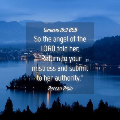 Picture 04 - Genesis 16:9 BSB - So the angel of the LORD told her, “Return to - Bible Verse Picture