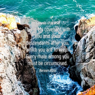 Picture 04 - Genesis 17:10 BSB - This is My covenant with you and your descendants - Bible Verse Picture