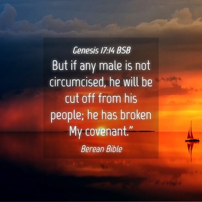 Picture 04 - Genesis 17:14 BSB - But if any male is not circumcised, he will be - Bible Verse Picture