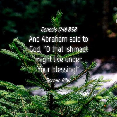 Picture 04 - Genesis 17:18 BSB - And Abraham said to God, “O that Ishmael might - Bible Verse Picture