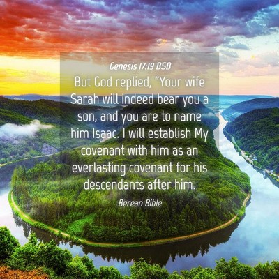 Picture 04 - Genesis 17:19 BSB - But God replied, “Your wife Sarah will indeed - Bible Verse Picture