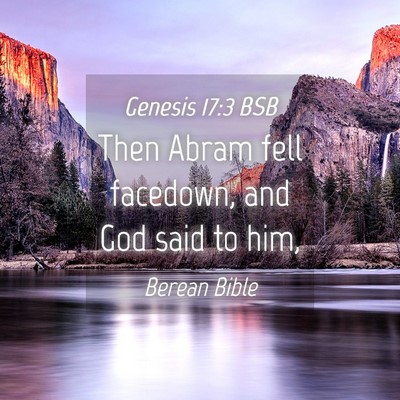 Picture 04 - Genesis 17:3 BSB - Then Abram fell facedown, and God said to - Bible Verse Picture
