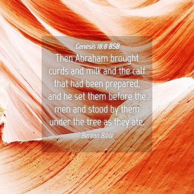 Picture 04 - Genesis 18:8 BSB - Then Abraham brought curds and milk and the calf - Bible Verse Picture