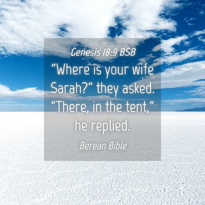 Picture 04 - Genesis 18:9 BSB - “Where is your wife Sarah?” they asked. - Bible Verse Picture