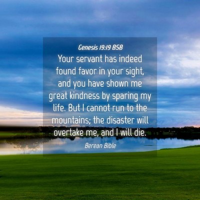 Picture 04 - Genesis 19:19 BSB - Your servant has indeed found favor in your - Bible Verse Picture