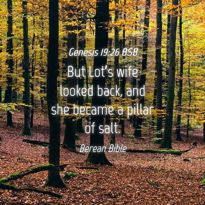 Picture 04 - Genesis 19:26 BSB - But Lot’s wife looked back, and she became a - Bible Verse Picture