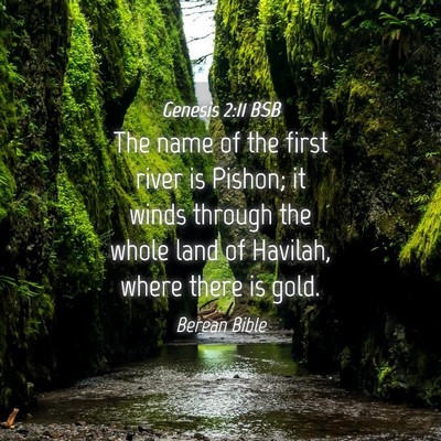 Picture 04 - Genesis 2:11 BSB - The name of the first river is Pishon; it winds - Bible Verse Picture
