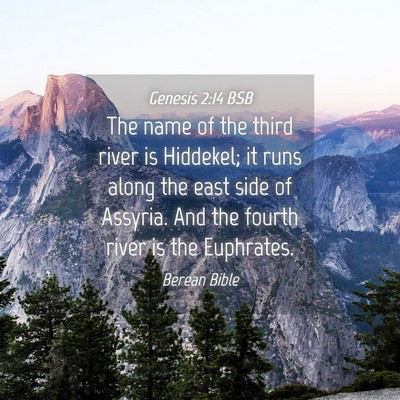 Picture 04 - Genesis 2:14 BSB - The name of the third river is Hiddekel; it runs - Bible Verse Picture