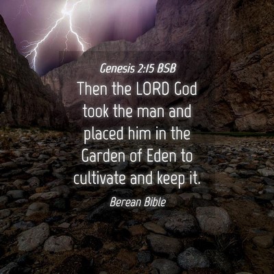 Picture 04 - Genesis 2:15 BSB - Then the LORD God took the man and placed him in - Bible Verse Picture