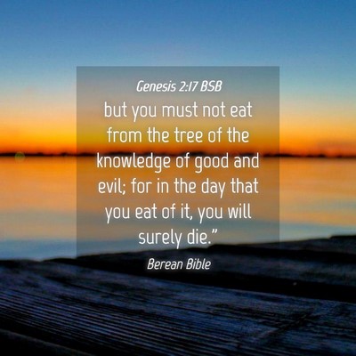 Picture 04 - Genesis 2:17 BSB - but you must not eat from the tree of the - Bible Verse Picture