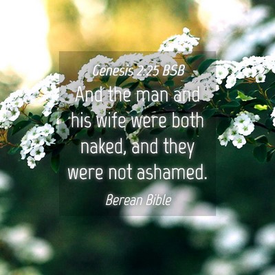 Picture 04 - Genesis 2:25 BSB - And the man and his wife were both naked, and - Bible Verse Picture