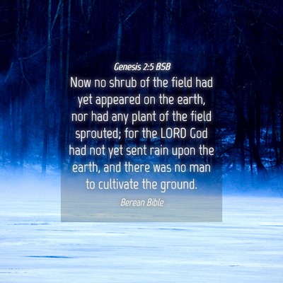 Picture 04 - Genesis 2:5 BSB - Now no shrub of the field had yet appeared on the - Bible Verse Picture