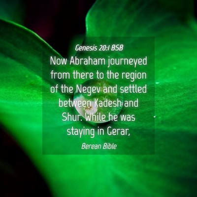 Picture 04 - Genesis 20:1 BSB - Now Abraham journeyed from there to the region of - Bible Verse Picture