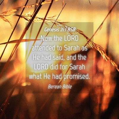 Picture 04 - Genesis 21:1 BSB - Now the LORD attended to Sarah as He had said, - Bible Verse Picture