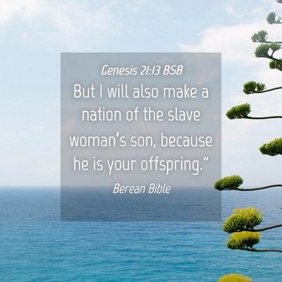 Picture 04 - Genesis 21:13 BSB - But I will also make a nation of the slave - Bible Verse Picture