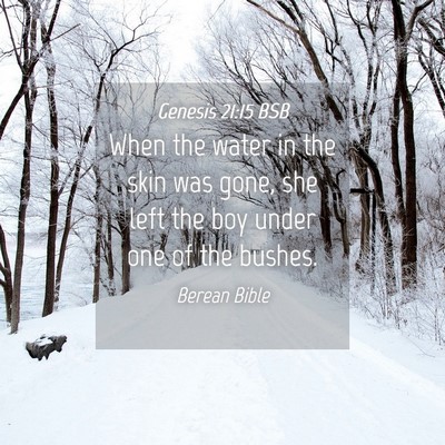 Picture 04 - Genesis 21:15 BSB - When the water in the skin was gone, she left the - Bible Verse Picture