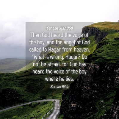 Picture 04 - Genesis 21:17 BSB - Then God heard the voice of the boy, and the - Bible Verse Picture