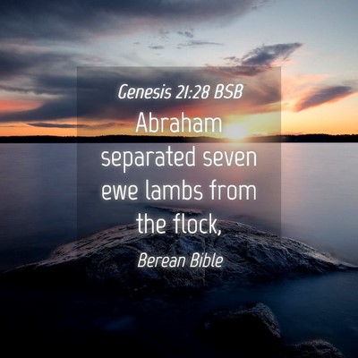 Picture 04 - Genesis 21:28 BSB - Abraham separated seven ewe lambs from the - Bible Verse Picture