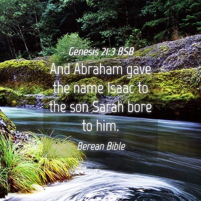 Picture 04 - Genesis 21:3 BSB - And Abraham gave the name Isaac to the son Sarah - Bible Verse Picture
