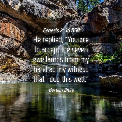 Picture 04 - Genesis 21:30 BSB - He replied, “You are to accept the seven ewe - Bible Verse Picture