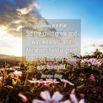 Picture 04 - Genesis 21:8 BSB - So the child grew and was weaned, and Abraham - Bible Verse Picture