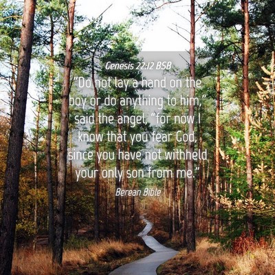 Picture 04 - Genesis 22:12 BSB - “Do not lay a hand on the boy or do anything to - Bible Verse Picture