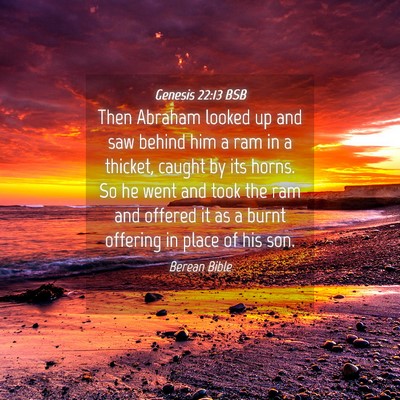 Picture 04 - Genesis 22:13 BSB - Then Abraham looked up and saw behind him a ram - Bible Verse Picture
