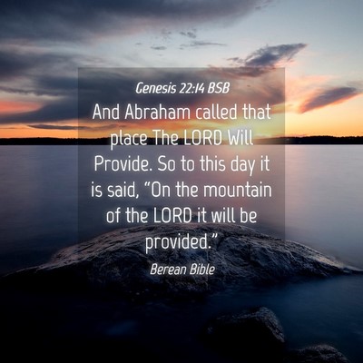 Picture 04 - Genesis 22:14 BSB - And Abraham called that place The LORD Will - Bible Verse Picture
