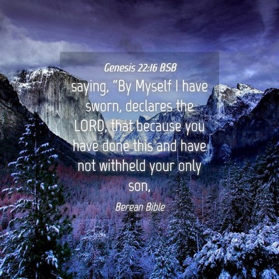 Picture 04 - Genesis 22:16 BSB - saying, “By Myself I have sworn, declares the - Bible Verse Picture