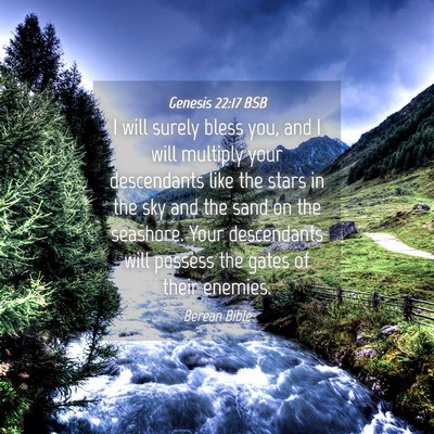 Picture 04 - Genesis 22:17 BSB - I will surely bless you, and I will multiply your - Bible Verse Picture