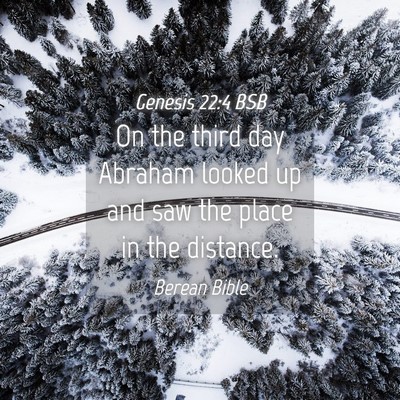 Picture 04 - Genesis 22:4 BSB - On the third day Abraham looked up and saw the - Bible Verse Picture