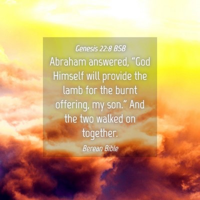 Picture 04 - Genesis 22:8 BSB - Abraham answered, “God Himself will provide the - Bible Verse Picture