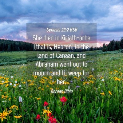 Picture 04 - Genesis 23:2 BSB - She died in Kiriath-arba (that is, Hebron) in the - Bible Verse Picture