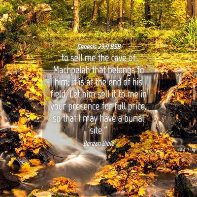 Picture 04 - Genesis 23:9 BSB - to sell me the cave of Machpelah that belongs to - Bible Verse Picture