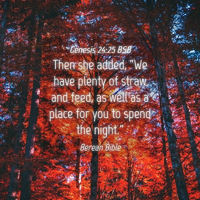 Picture 04 - Genesis 24:25 BSB - Then she added, “We have plenty of straw and - Bible Verse Picture