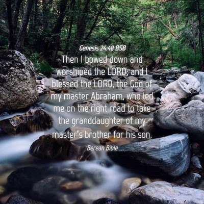 Picture 04 - Genesis 24:48 BSB - Then I bowed down and worshiped the LORD; and I - Bible Verse Picture