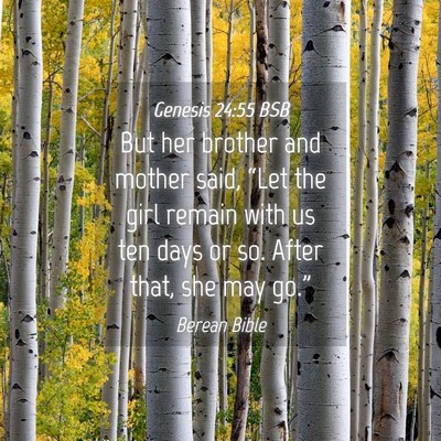 Picture 04 - Genesis 24:55 BSB - But her brother and mother said, “Let the girl - Bible Verse Picture